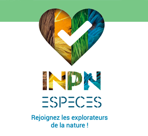 Application mobile van life - INPN Espèces