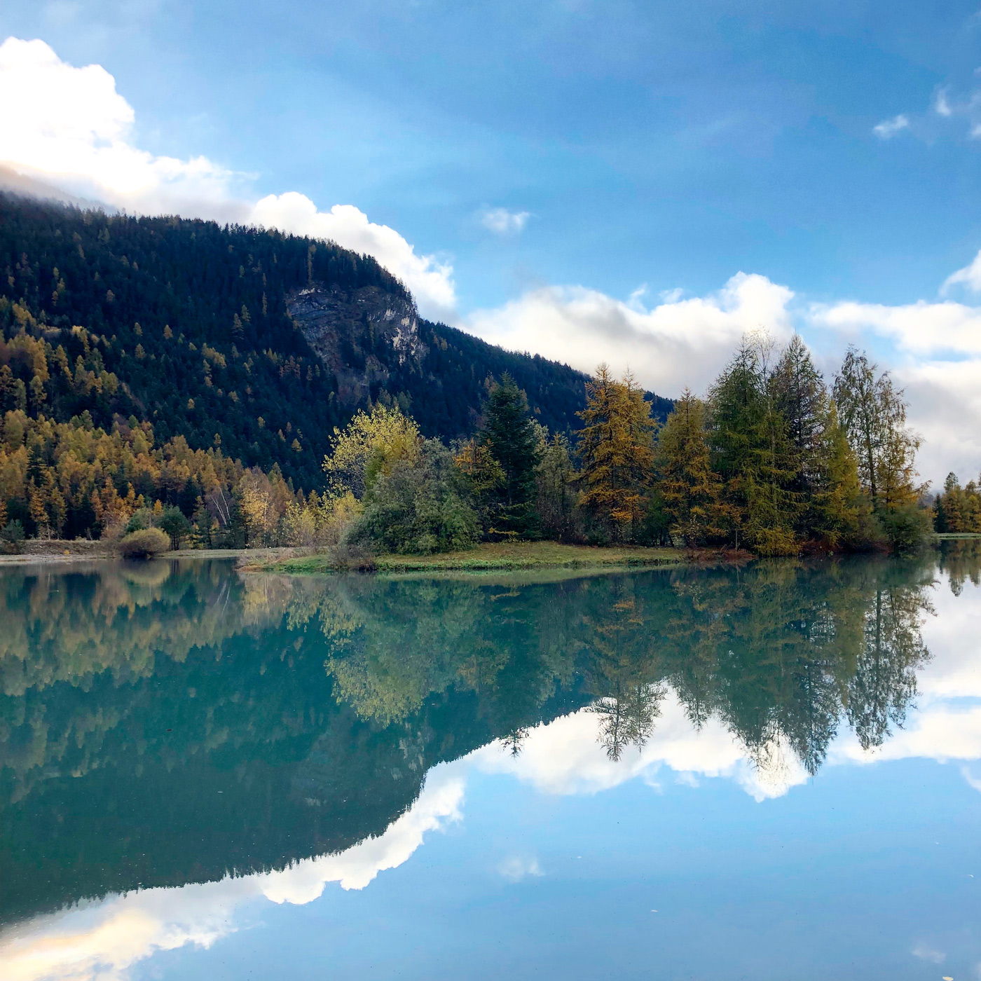 Top 10 des activités à faire en famille en Automne - balade en foret