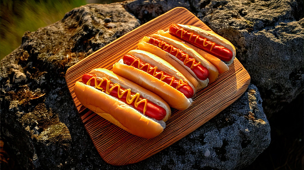 Recettes d'hiver à faire en camping - hot dog